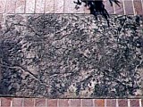 Stamped Concrete